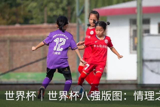 世界杯｜世界杯八强版图：情理之中的惊喜