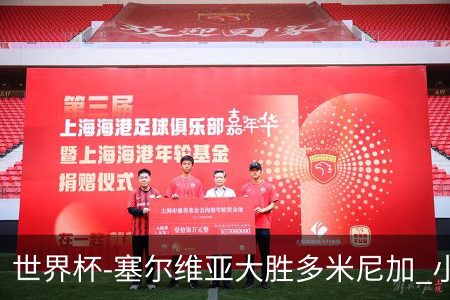 世界杯-塞尔维亚大胜多米尼加 小组第二进八强