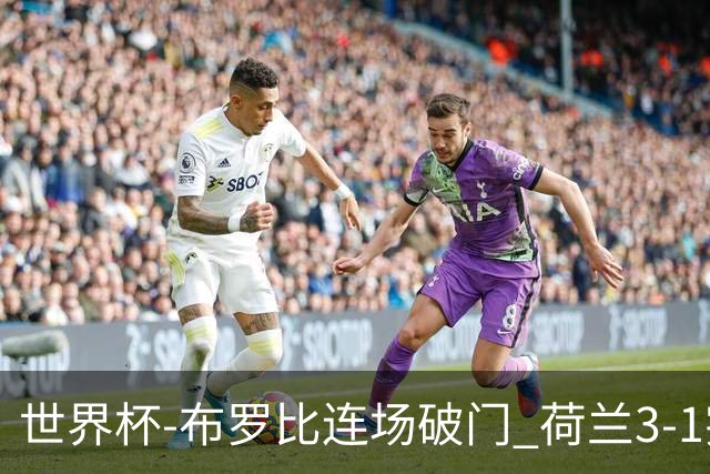 世界杯-布罗比连场破门 荷兰3-1突尼斯获小组头名将战摩洛哥